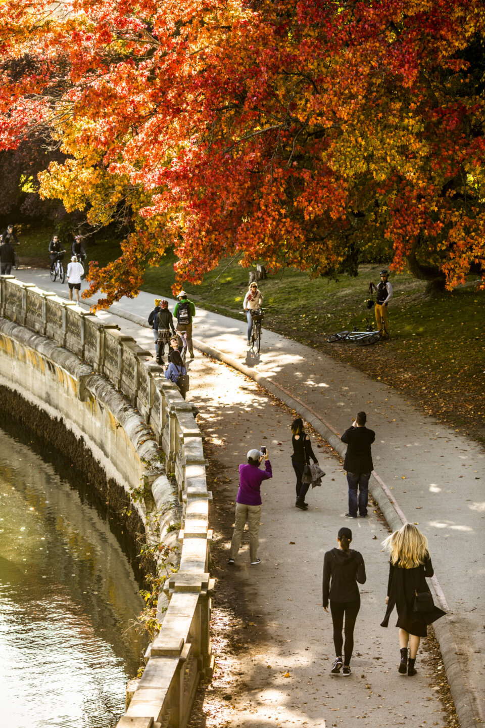 Stanley Park sea wall in the fall