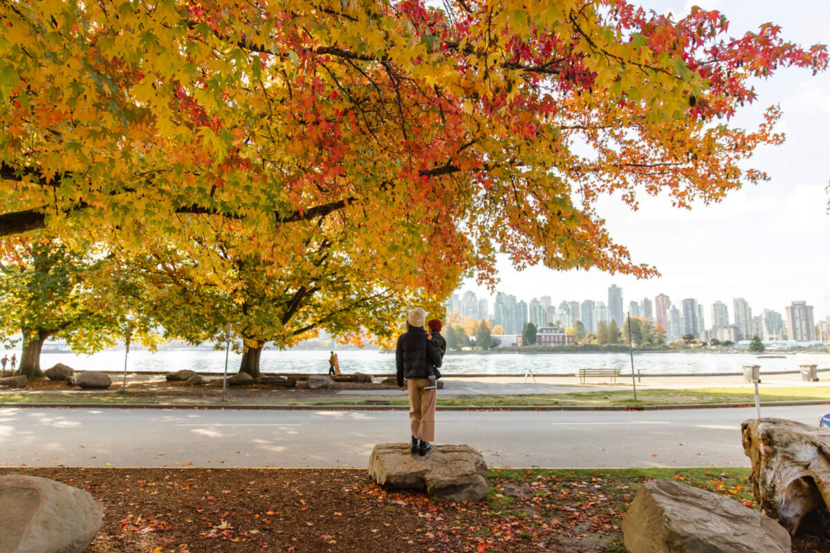 Stanley Park in the fall