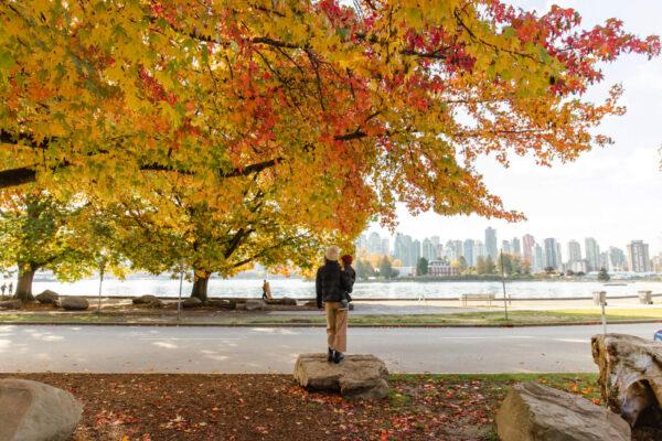 Stanley Park in the fall