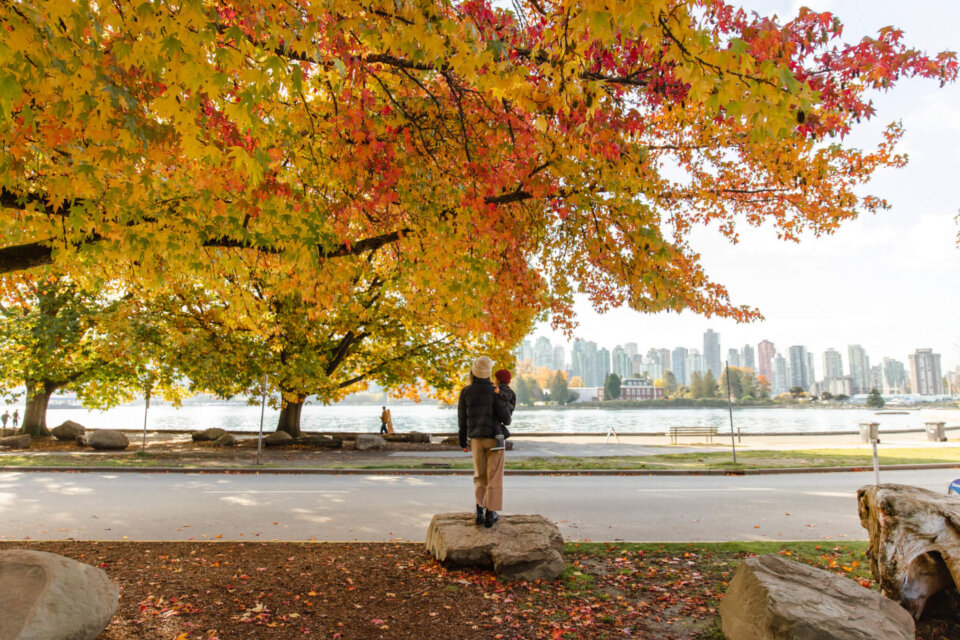 Stanley Park in the fall