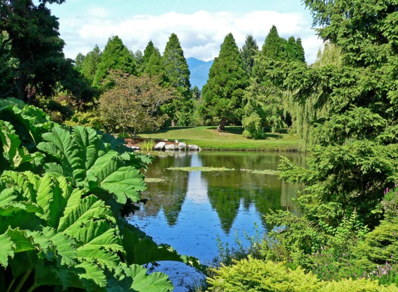 VanDusen_Botanical_Garden_1