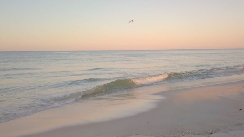 2335977-uhd_3840_2160_24fps.00_00_05_18.Still001