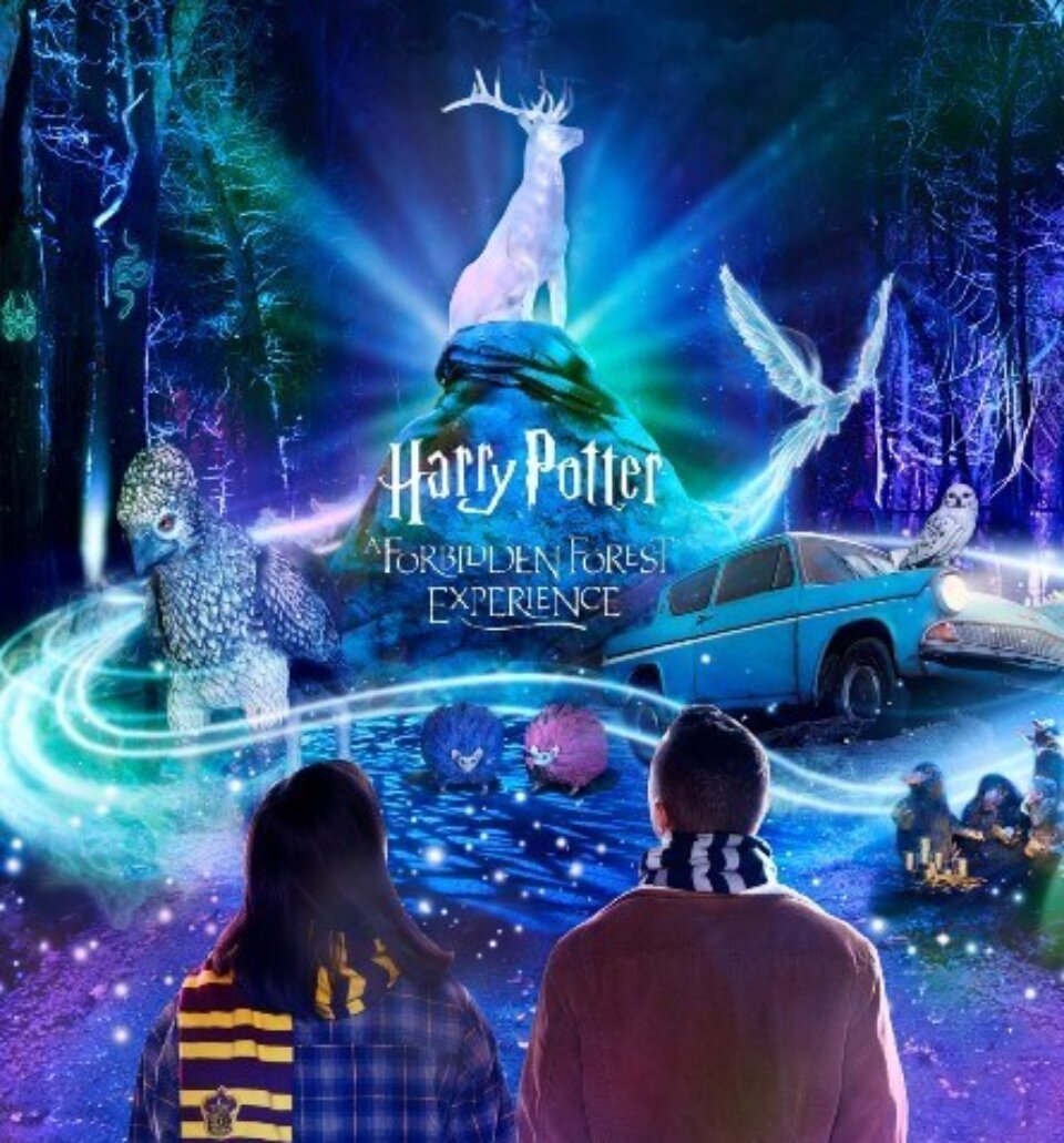 600×500 HP Offer Banner