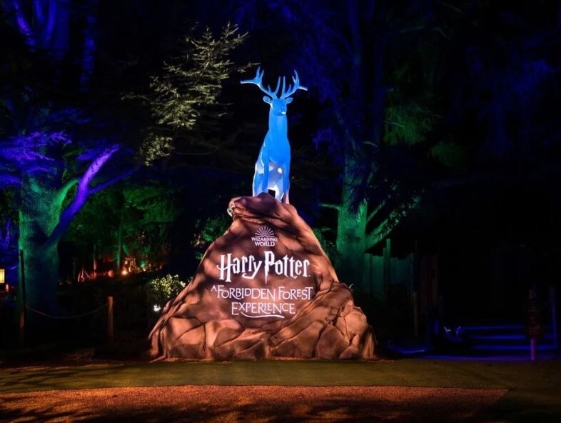 harry potter experience
