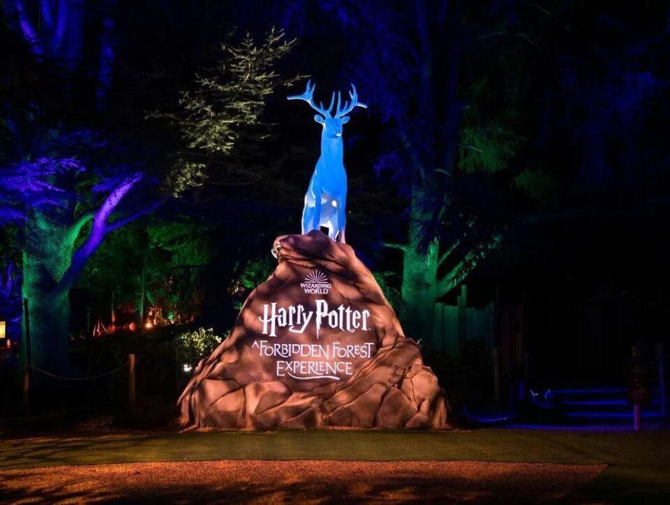 harry potter experience
