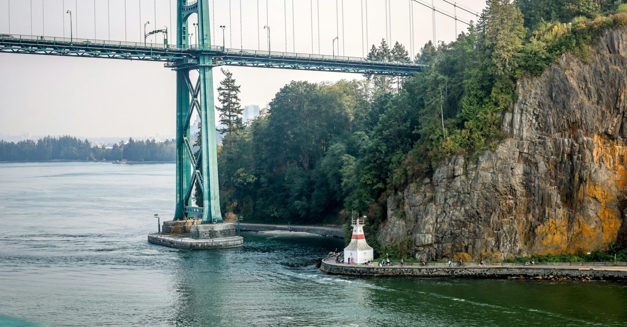 pexels-travis-kerkvliet-110687276-34066295