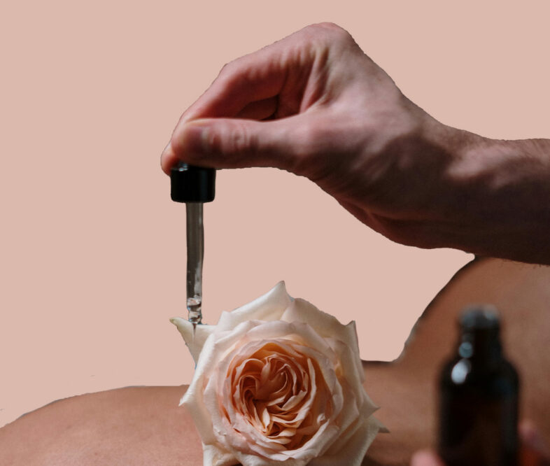 features on website - v1-02